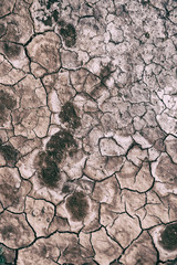 in the desert the dry ground