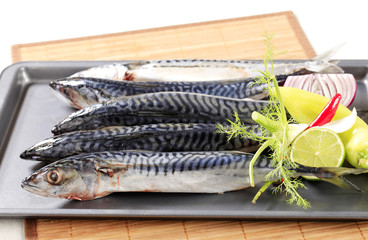 Fresh mackerels on baking tray