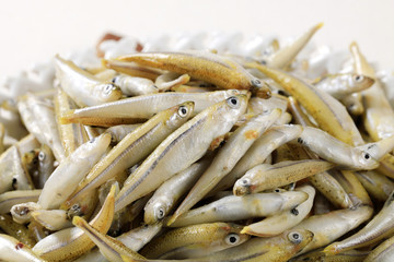 Fresh anchovies