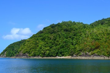 Fototapeta na wymiar Tropical beach, covered in dense vegetation. Philippines