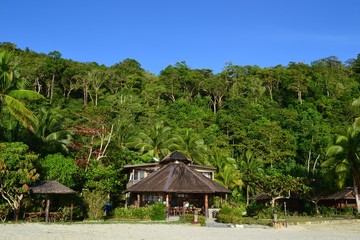 The tropical landscape. Philippines