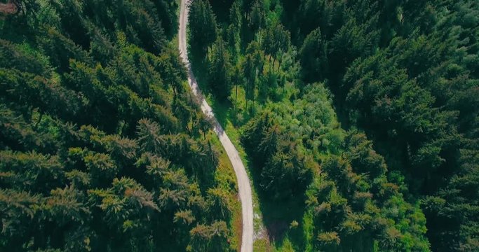 Luftaufnahme Strasse im Wald zu abgelegenem Haus, bew&ouml;lkt und neblig