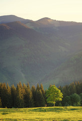Obraz premium Mountain valley during sundown. Beautiful natural landscape in the summer time
