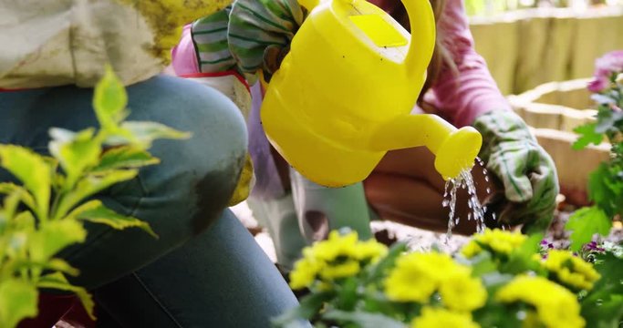 Couple watering flower in garden