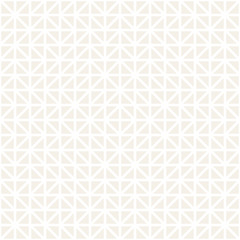 Fototapeta premium Geometric Ethnic Lattice. Stylish Subtle Texture. Vector Abstract Seamless Pattern.