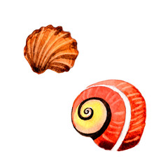 Watercolor summer beach seashell tropical elements, underwater creatures.