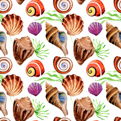 Watercolor summer beach seashell tropical elements pattern, underwater creatures.