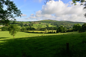 The Irish countryside in June.
