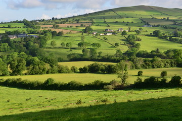 Fototapeta na wymiar The Irish countryside in June. 