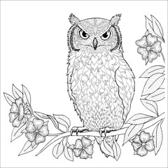 Owl hand drawn vector art