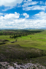 Fototapeta na wymiar Landscape of Gran Sabana region in National Park Canaima, Venezuela