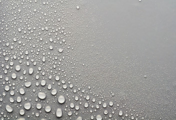 water drops on a gray background - obrazy, fototapety, plakaty