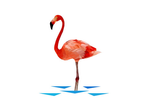 Vector flamingo