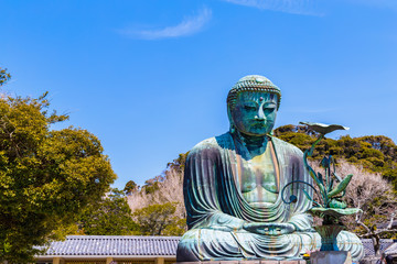 The Great Buddha.  Located in Kamakura, Kanagawa Prefecture Japan.