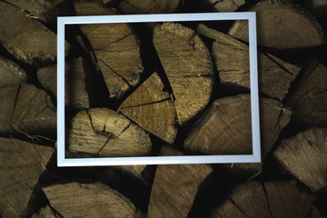A stack of firewood near the white background frame.
