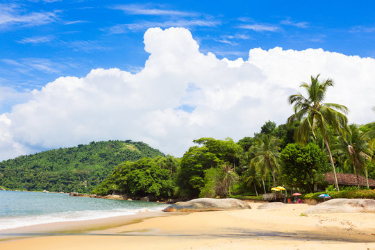 Brazilian Beach At The Paraty