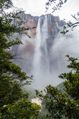 Fototapeta na wymiar Angel Falls (Salto Angel), the highest waterfall in the world (978 m), Venezuela