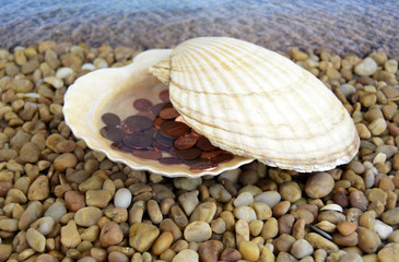 Sea cockleshells are formed of limestone. The cockleshell is located on the beach. Money is located in a cockleshell.