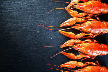 Crawfish. Red boiled crayfish with herbs on stone slate dark background