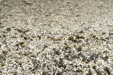 Landscape with sea view, waves and sea shells, clouds, photographed in Gura Portiţei, Romania, in cloudy spring day