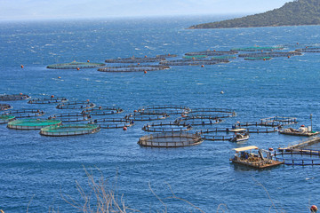 Grèce, pisciculture ferme aquatique