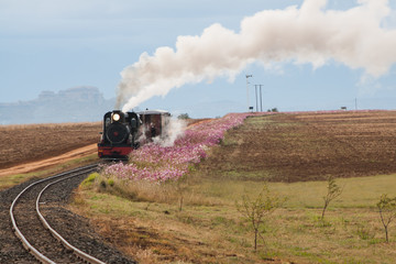 steam train at sandstone estates in south africa
