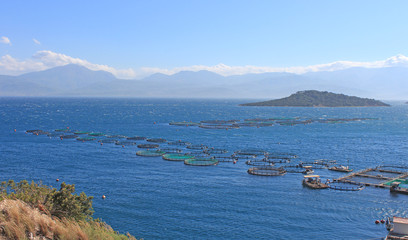 Grèce, pisciculture ferme aquatique