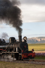 Plakat steam train at sandstone estates in south africa