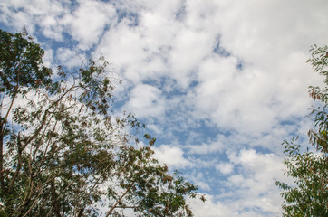 ky - blue sky background with clouds - Sky with clouds.NEF
