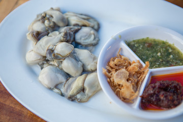 Fresh oysters Thailand