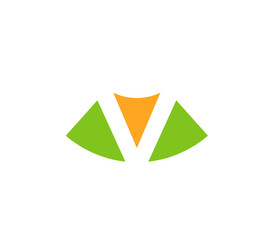 Vector V logo icons

