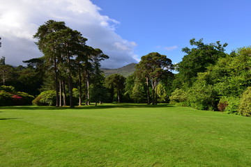 The landscaped gardens at a country home in Ireland.
