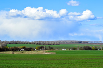 Fototapeta na wymiar Rural landscape with a green field, clouds and farm