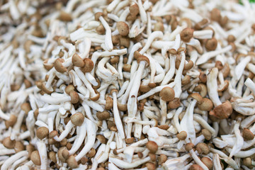 Many mushrooms are in the vegetable stall in Super Supermarket.