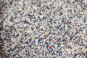 Multicolored grain stacked together in a storage tank.