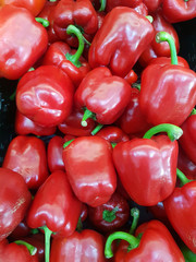Paprika