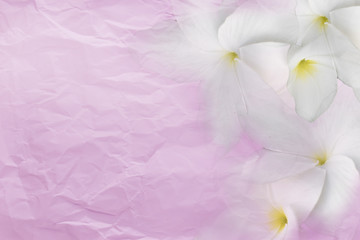 Wrinkled sheet  paper pink, right flower and left side empty space for text background.