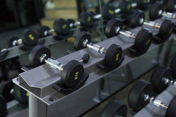 dumbbell set in fitness gym workout weights traning
