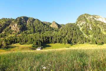 Panorama of Aran valley, Spain