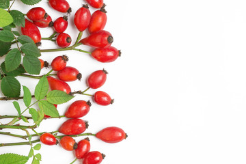 bunch of fresh dog rose on white background. Different types Rosa canina hips - selective focus. room for text 