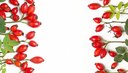 bunch of fresh dog rose on white background. Different types Rosa canina hips - selective focus. room for text 