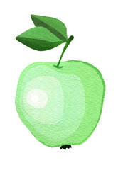 Green Apple with leaves, isolated on white background, gouache