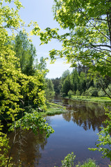 Fototapeta na wymiar Beautiful River in the forest