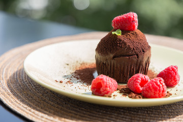 Homemade chocolate muffin sweet desert cake with Raspberry topping, brownie macro close-up