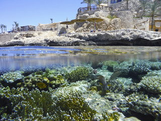 Fototapeta premium Two worlds separated by water.