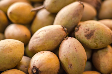Exotic tropical fruits, sapodilla or chiku fruit display in the fresh market. selective focus shot