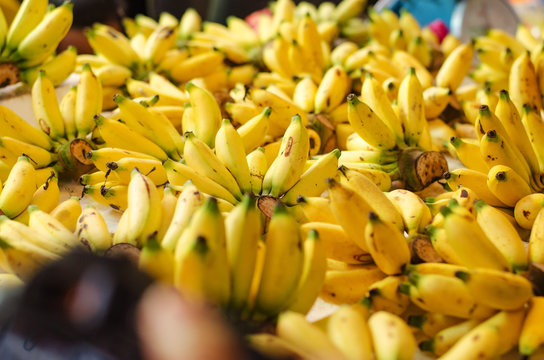 exotic tropical fruit, banana display at stall.