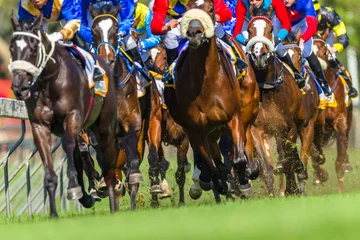 Crédence de cuisine en verre imprimé Léquitation Horse Racing Closeup Animals Legs Hoofs Grass Track