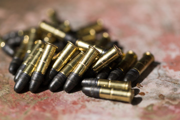  Many ammunition bullets. 22 LR for long rifle