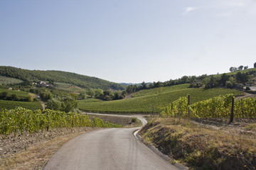 Kurvige Straße in der Toskana